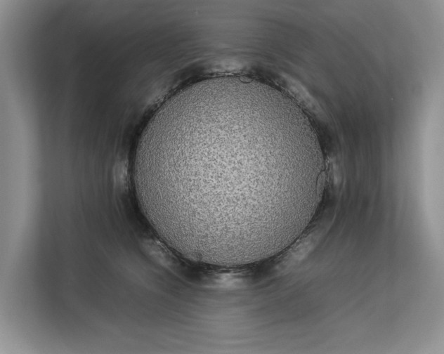 X0000112830564200909041505