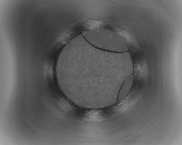 X0000112830566200909041505