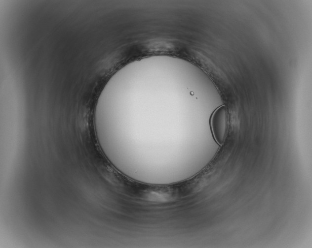 X0000112830567200909041505