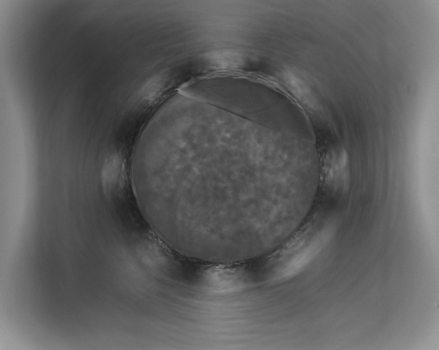 X0000112830568200909041505