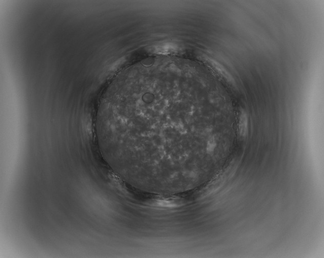 X0000112830569200909041505