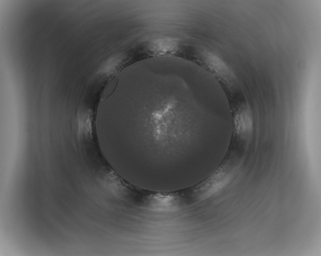 X0000112830570200909041505