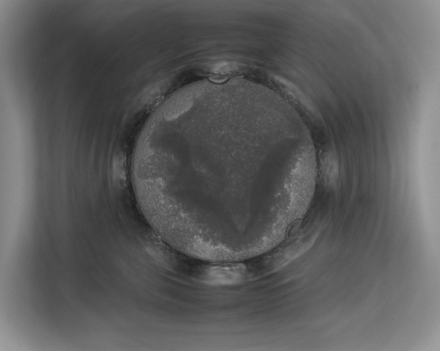 X0000112830571200909041505