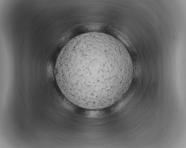 X0000112830575200909041505