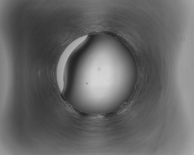 X0000112830576200909041505