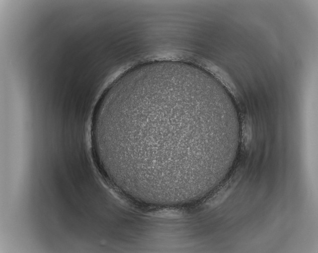 X0000112830578200909041504