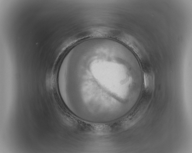 X0000112830579200909041504