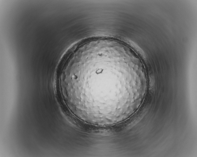 X0000112830580200909041504