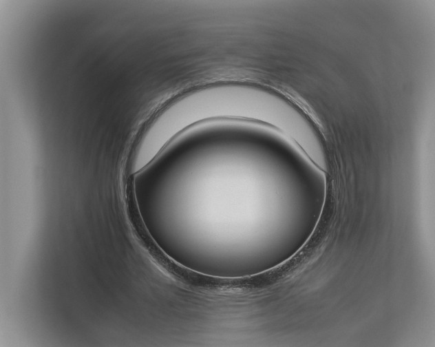 X0000112830581200909041504