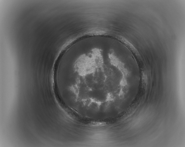 X0000112830582200909041504