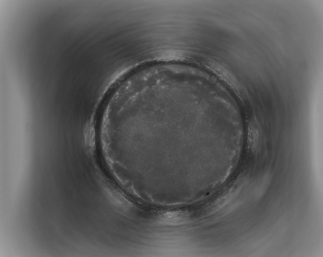 X0000112830584200909041504