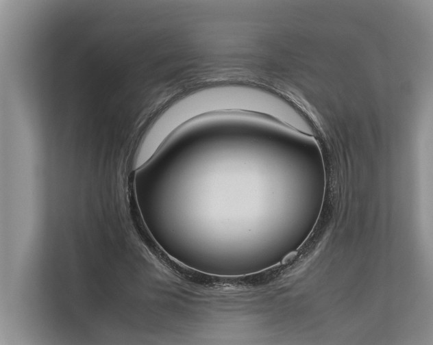 X0000112830585200909041504