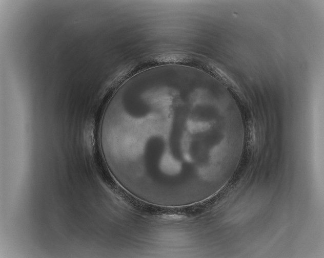 X0000112830586200909041504