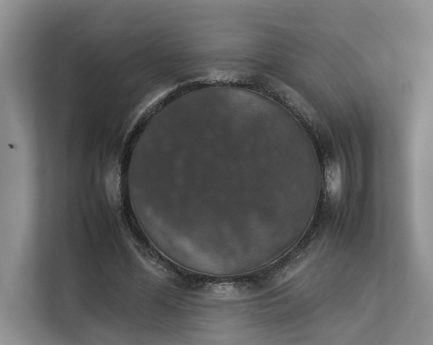 X0000112830588200909041504