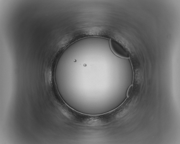 X0000112830589200909041504