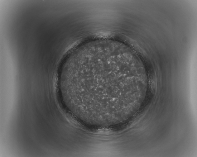 X0000112830591200909041504