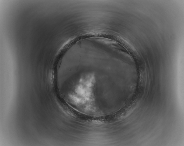 X0000112830592200909041504