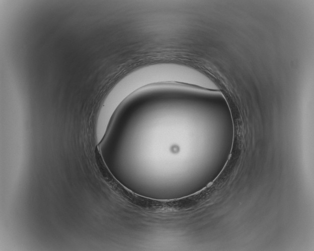 X0000112830593200909041504