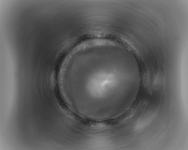 X0000112830594200909041504