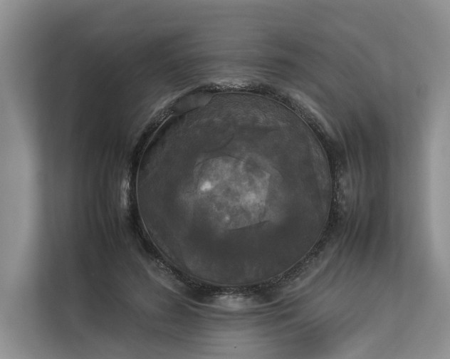 X0000112830596200909041504