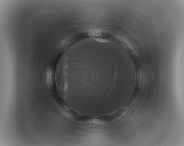 X0000112830598200909041504