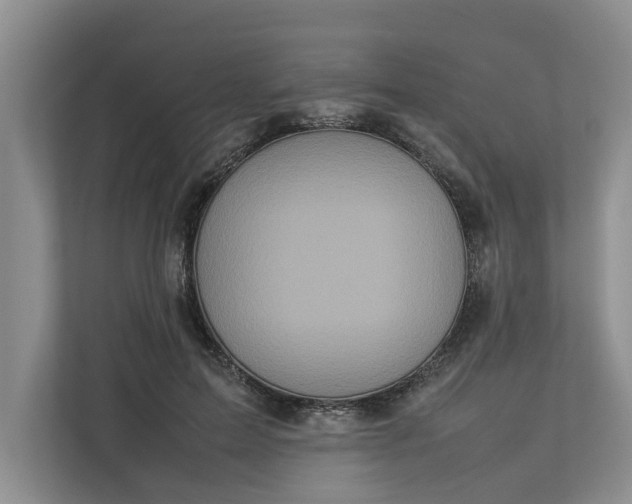 X0000112830599200909041504