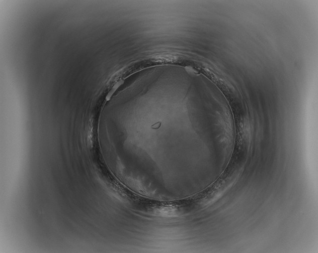 X0000112830600200909041504