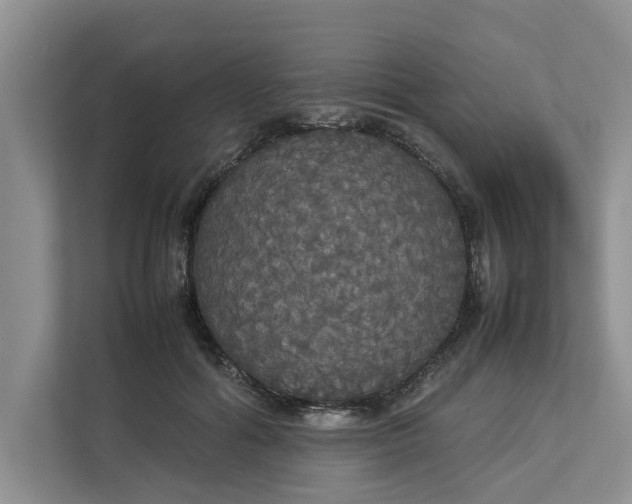 X0000112830602200909041504