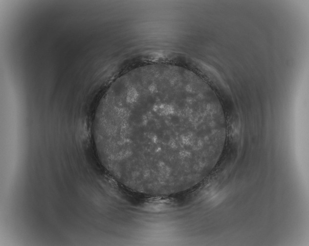 X0000112830607200909041504