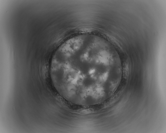 X0000112830608200909041504