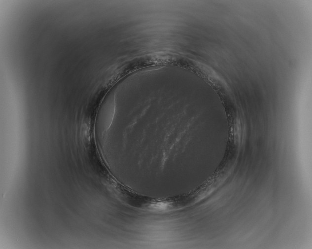 X0000112830610200909041504