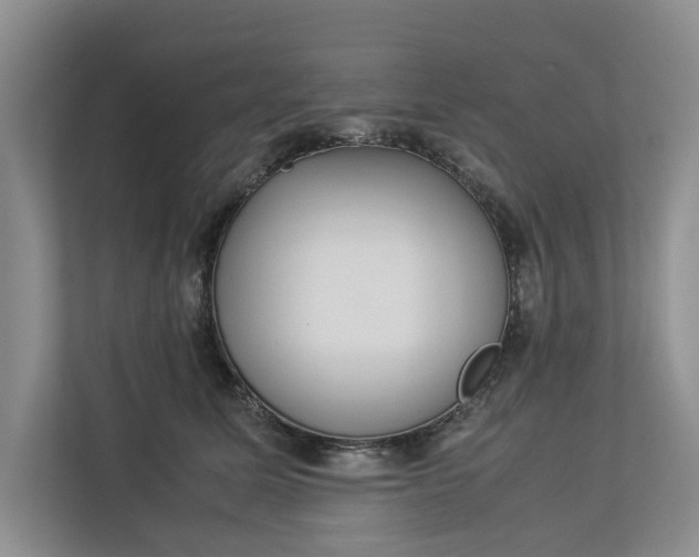 X0000112830611200909041504