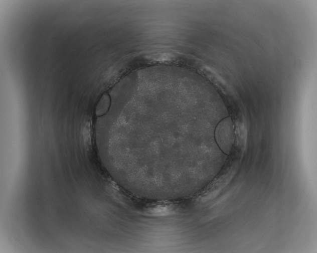 X0000112830612200909041504