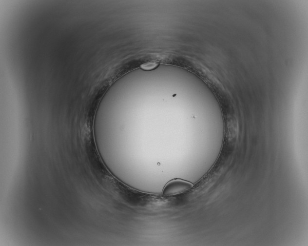 X0000112830613200909041504