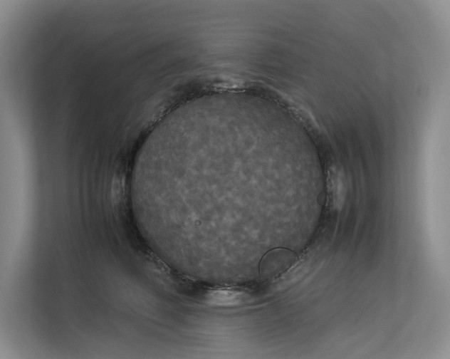 X0000112830614200909041504