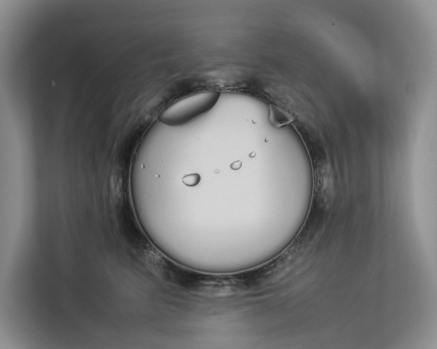 X0000112830615200909041504