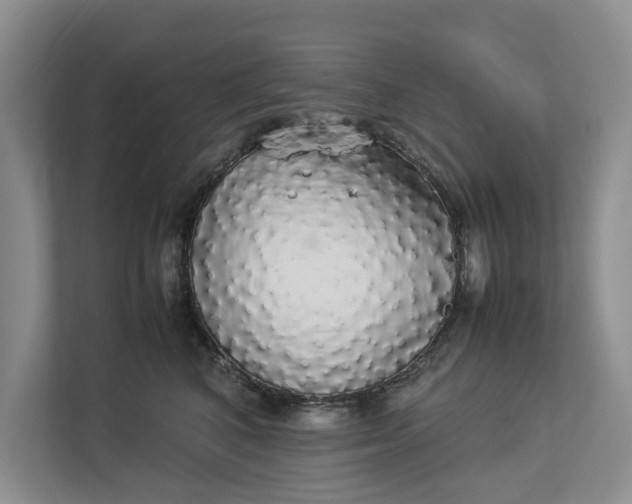 X0000112830616200909041504