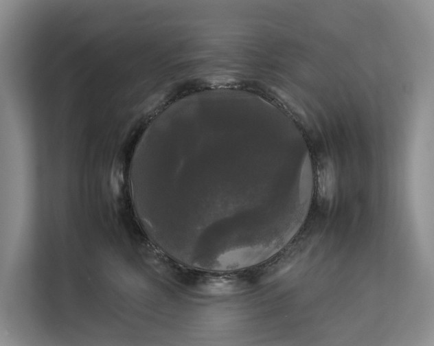 X0000112830618200909041504