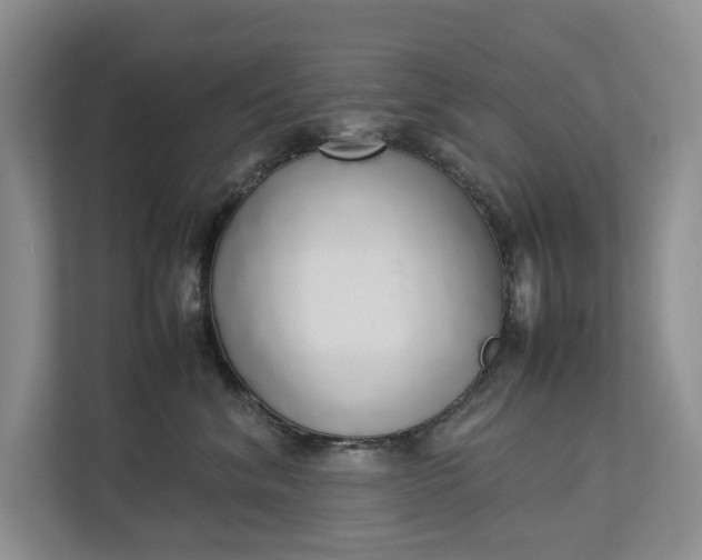 X0000112830620200909041504