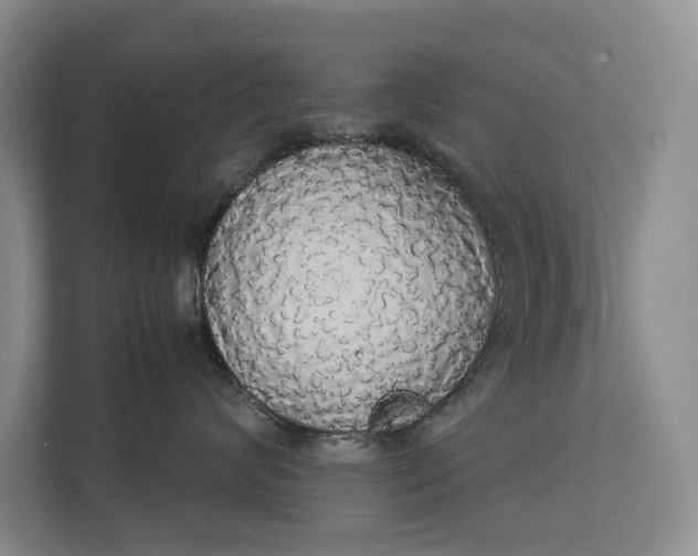 X0000112830624200909041504