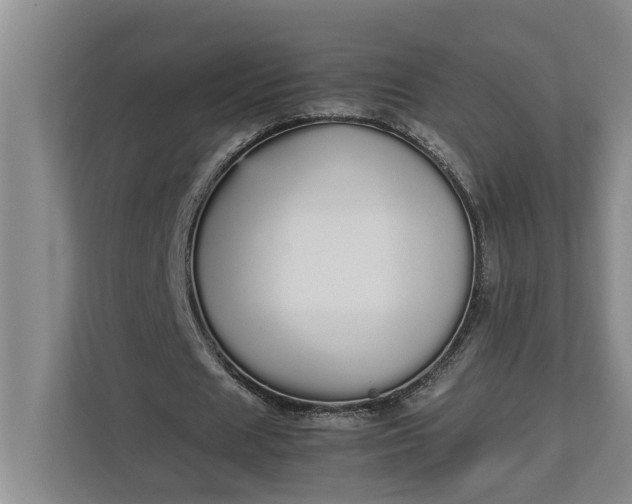 X0000112830625200909041503