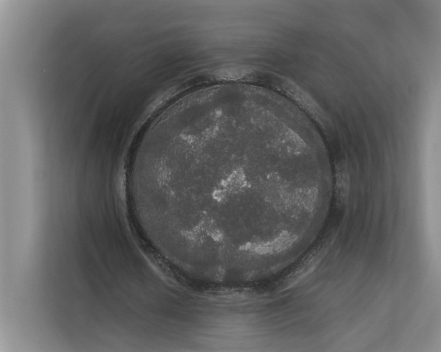 X0000112830626200909041503