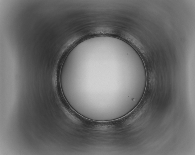 X0000112830629200909041503