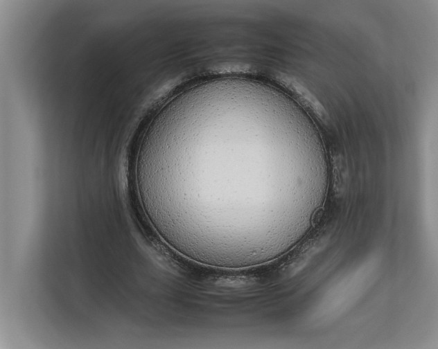 X0000112830631200909041503