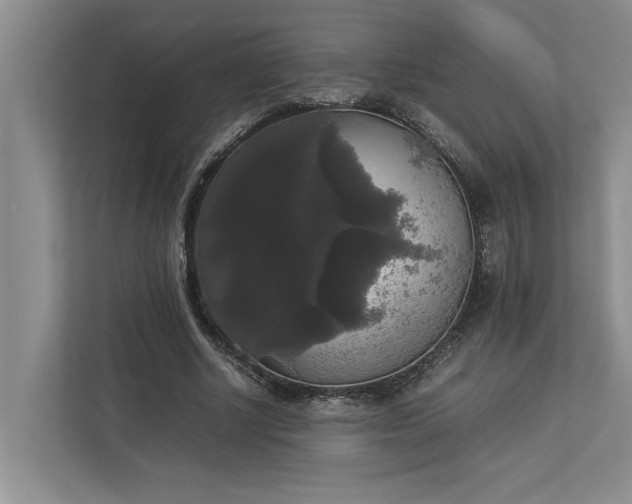 X0000112830634200909041503