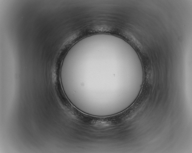 X0000112830635200909041503