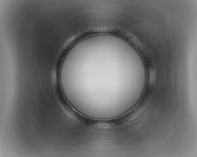 X0000112830636200909041503