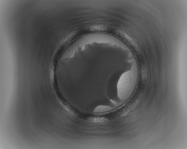 X0000112830637200909041503