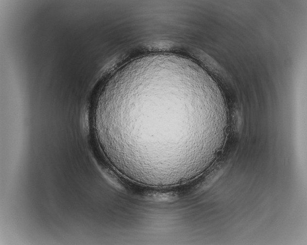 X0000112830638200909041503