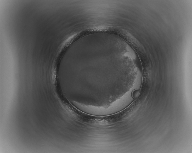 X0000112830640200909041503